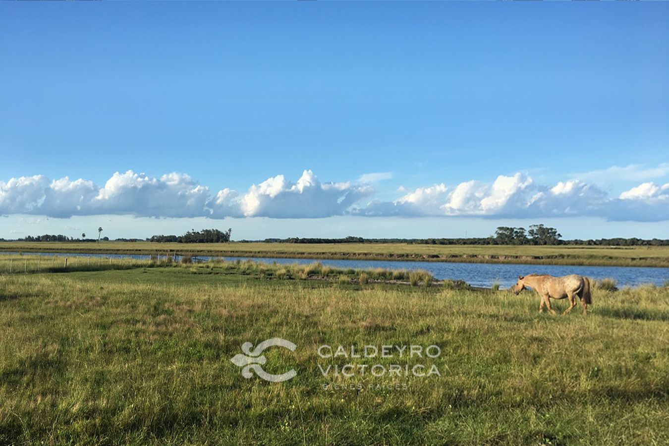 Campo EN VENTA