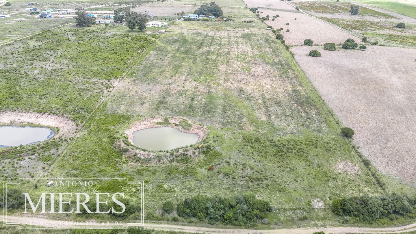 Quinta EN VENTA