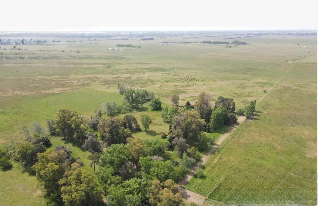 Campo EN VENTA