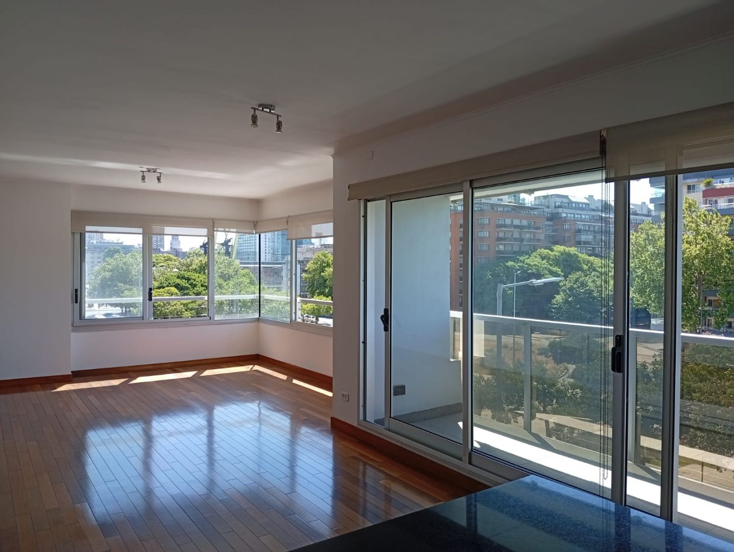 Departamento en Alquiler en Puerto Madero, Capital Federal