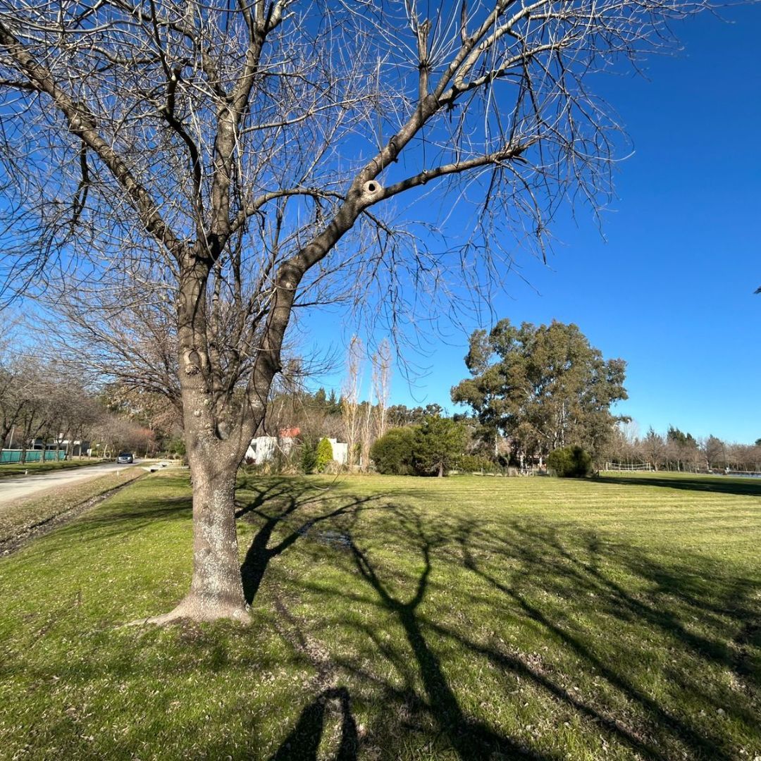 Lote EN VENTA