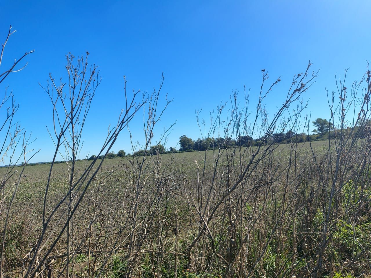 Campo en Venta en Zarate, G.B.A. Zona Norte