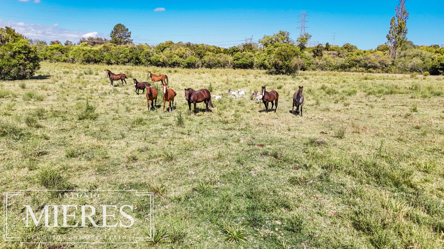 Quinta EN VENTA