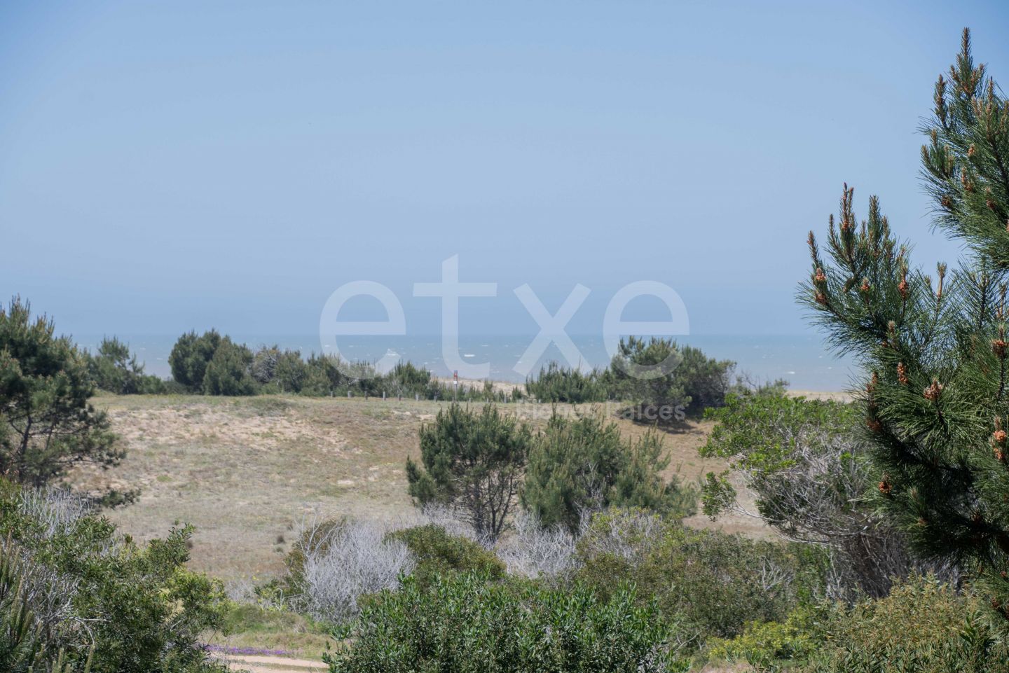 Lote EN VENTA