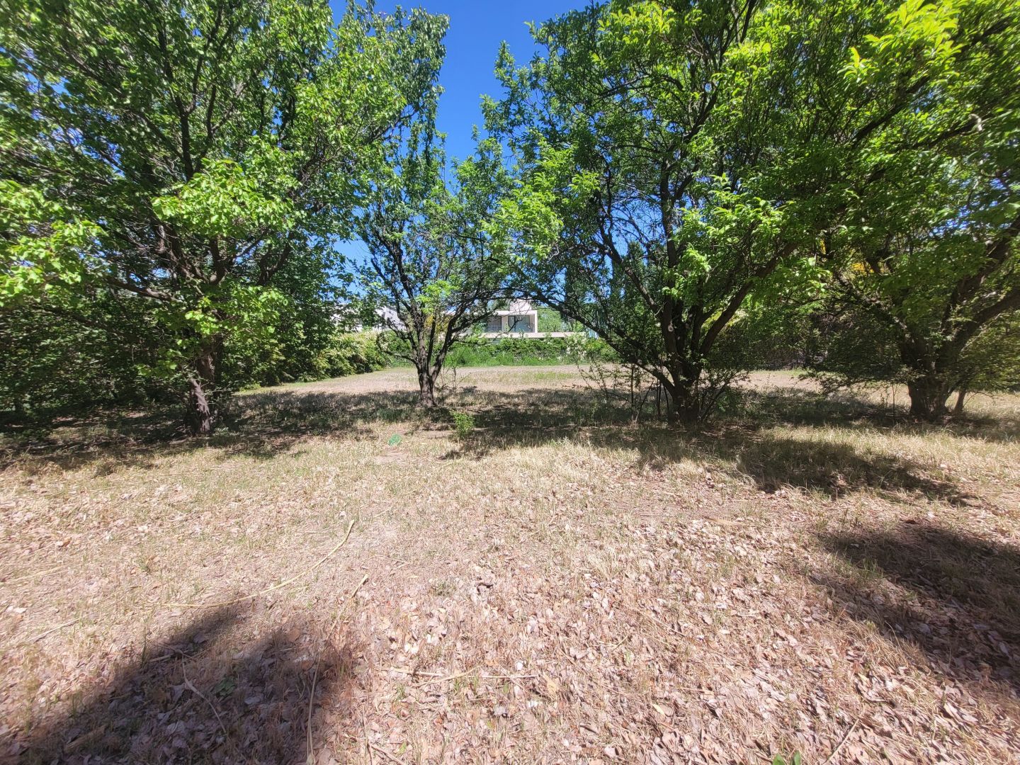 Lote EN VENTA