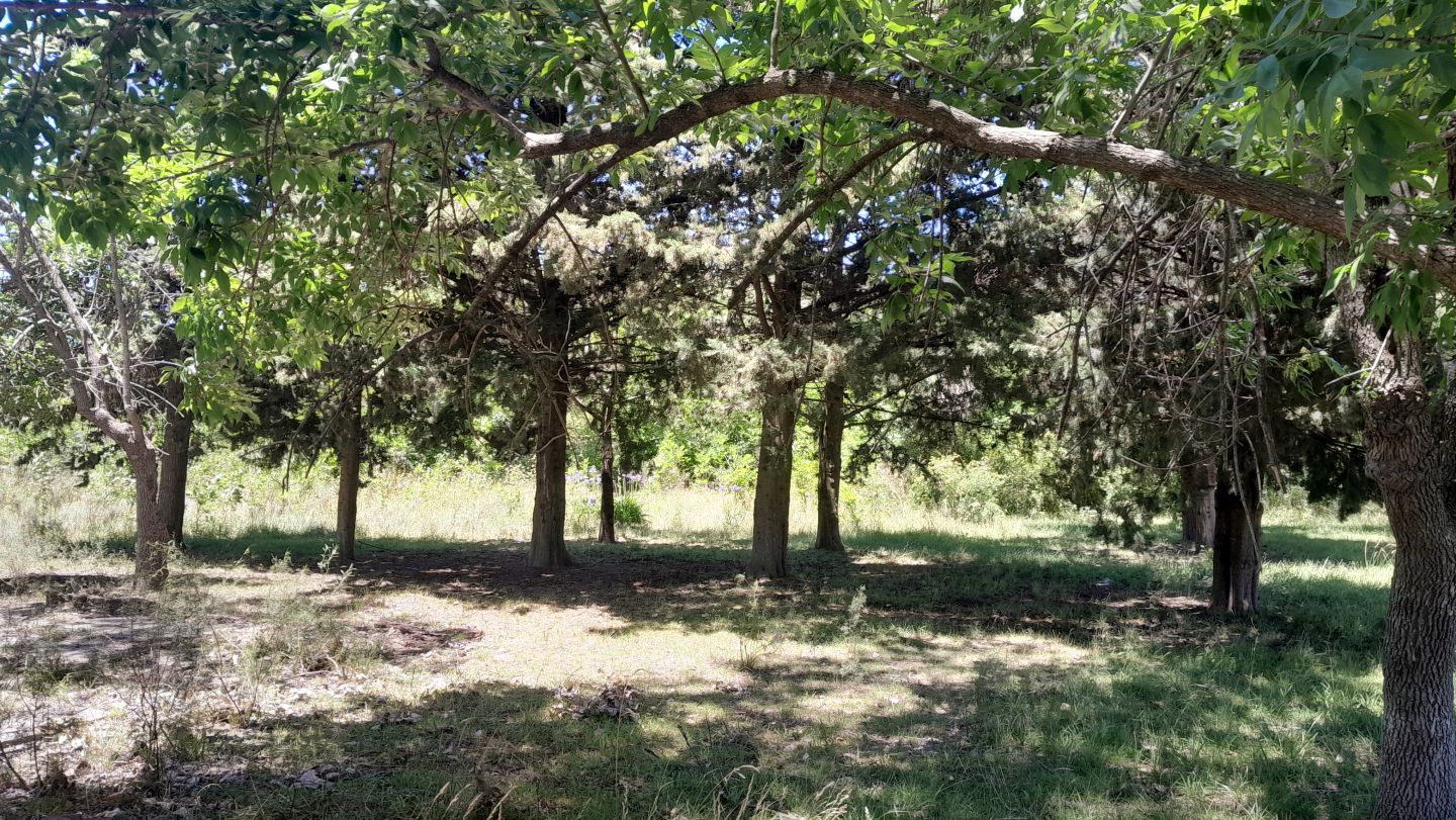 Lote en Venta en Punta Indio, Buenos Aires Interior