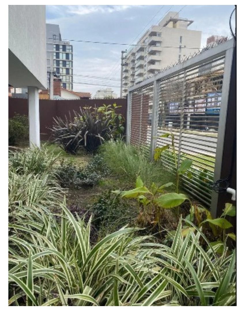Imagen 10