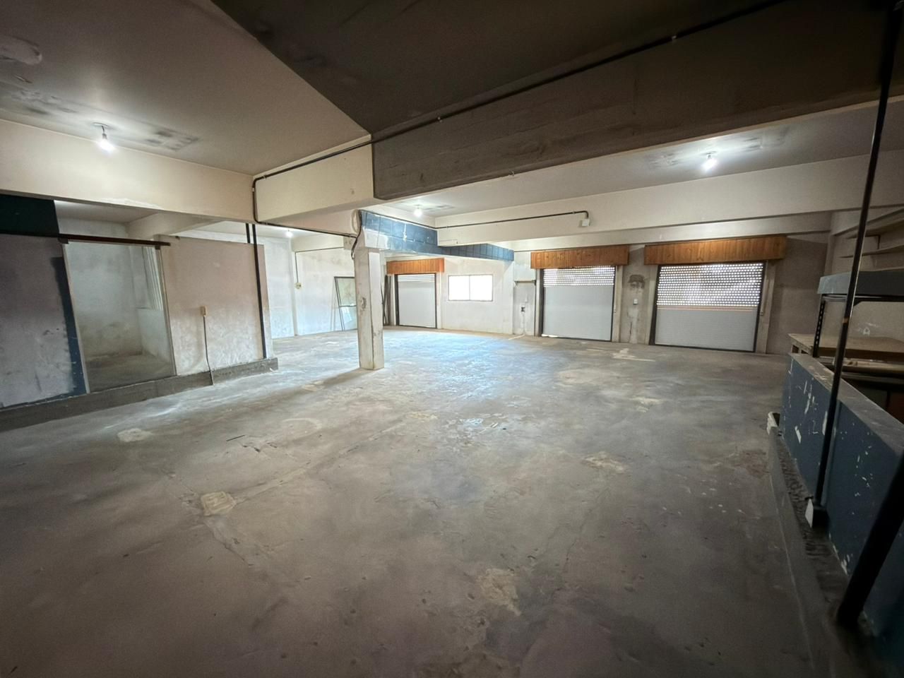 VENTA DE GALPON EN General San Martín - Villa Lynch - 43