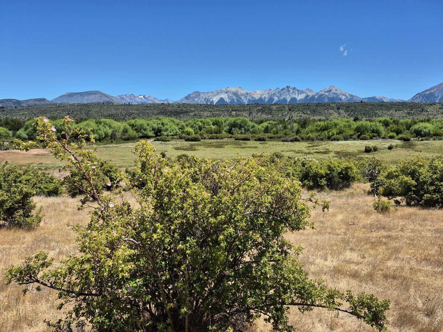 VENTA DE CAMPO EN Cholila - 29