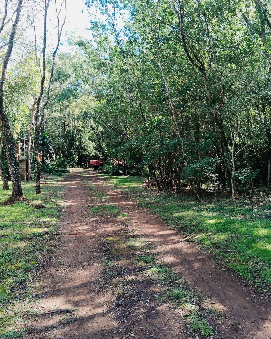 Plano 6 — Hermosa Casa quinta en venta en Profundidad Misiones