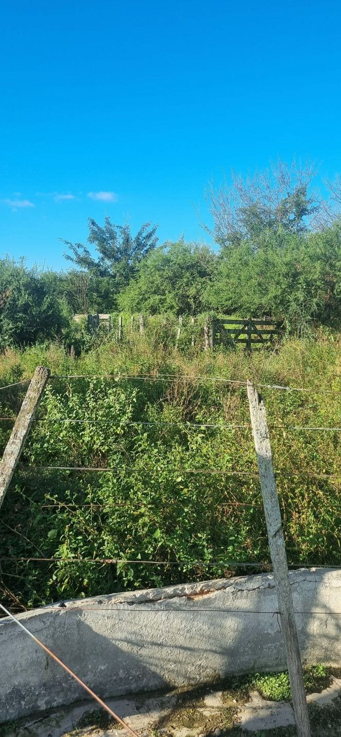 Campo EN VENTA