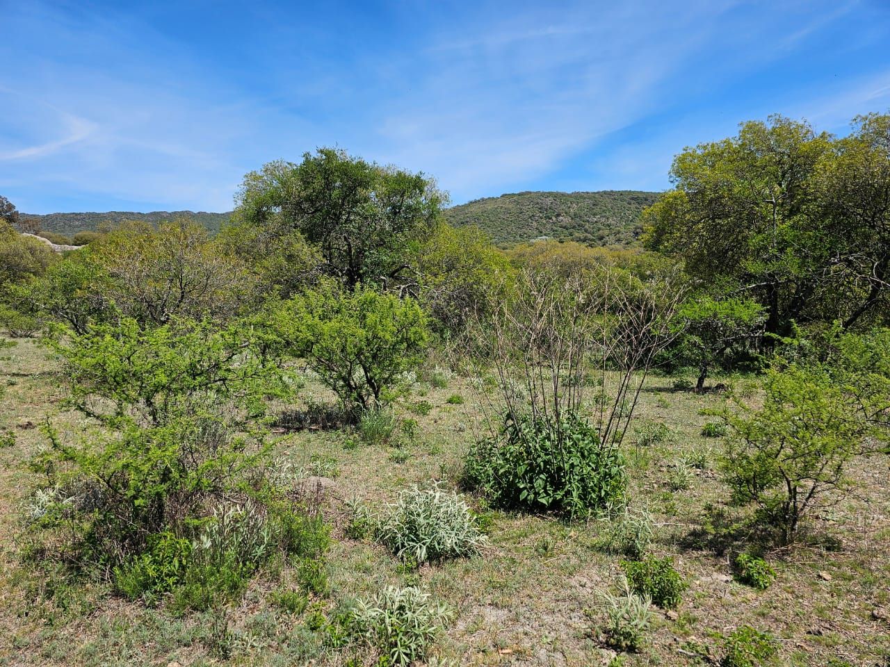 Lote EN VENTA