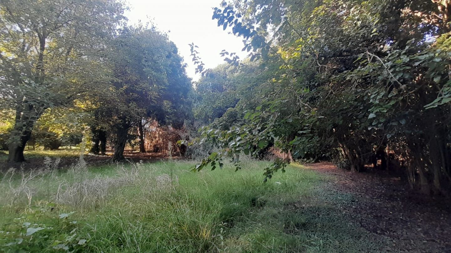 Casa en Venta en Punta Indio, Buenos Aires Interior