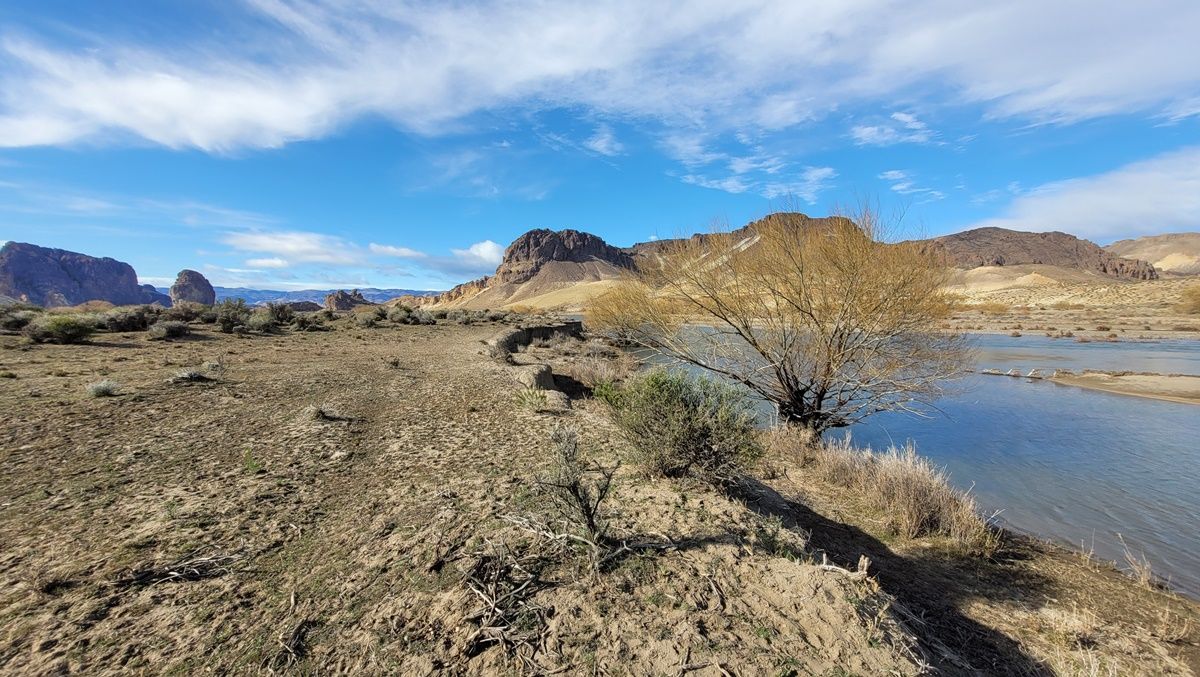 Campo EN VENTA