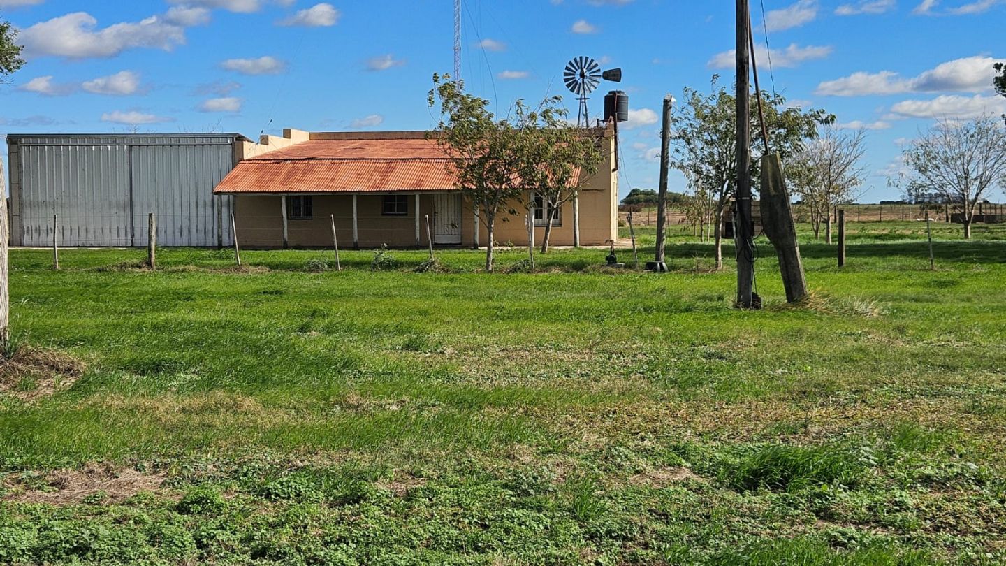 Campo EN VENTA