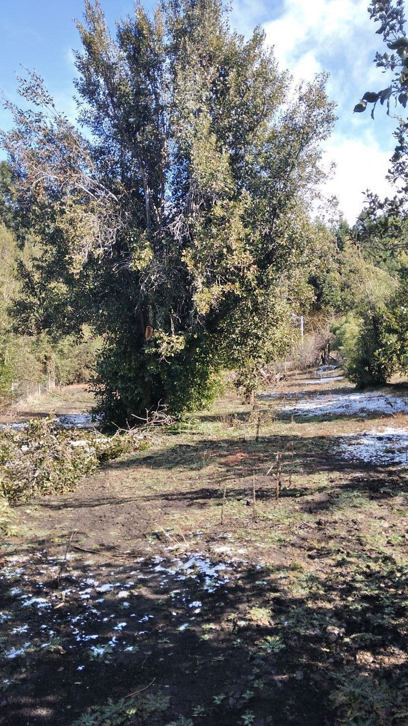 Lote en Venta en San Martin de los Andes, Neuquen