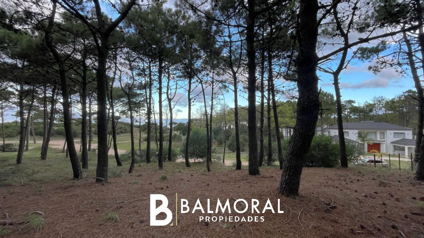 Lote EN VENTA