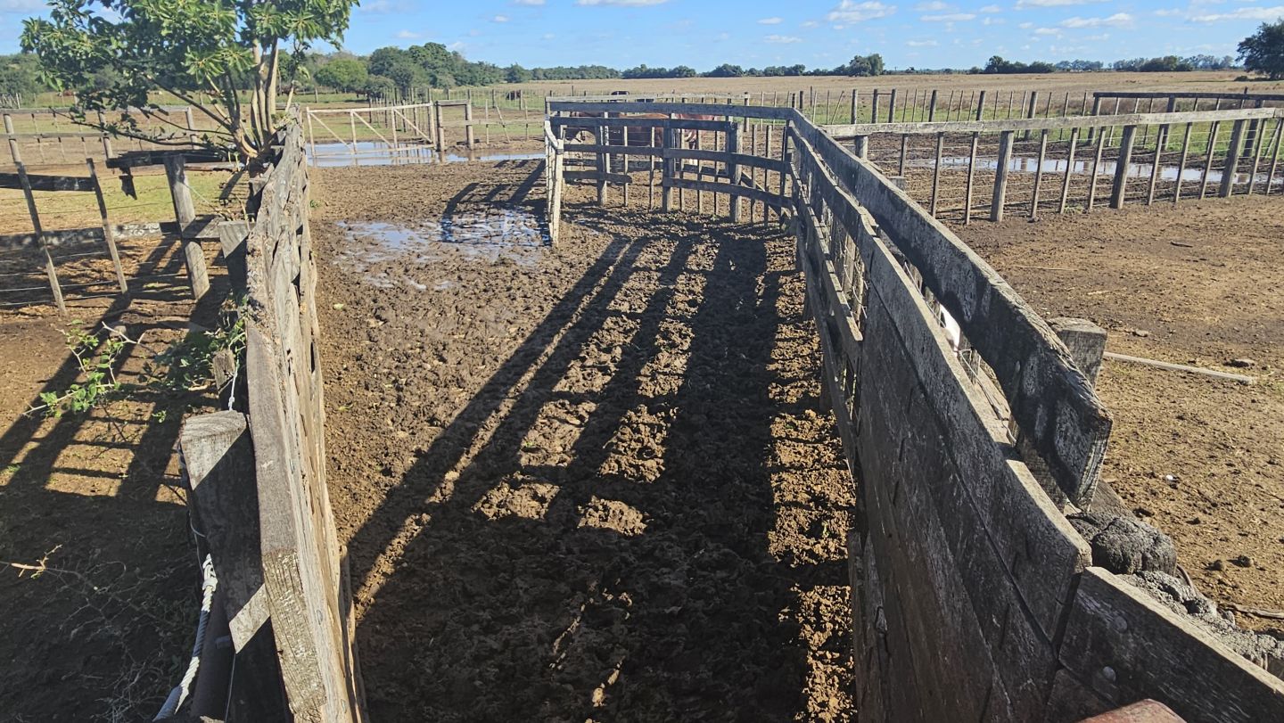 Campo EN VENTA