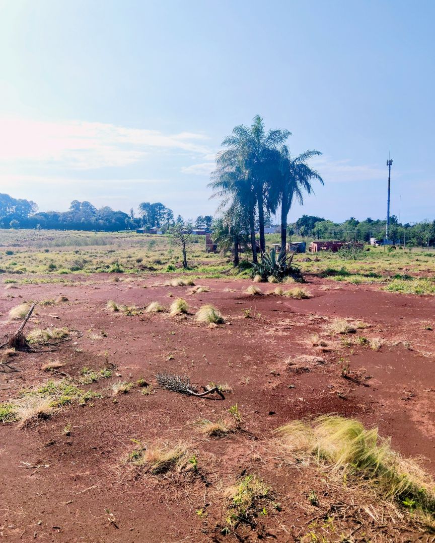 En venta 18.000 m2 sobre avenida — foto 7