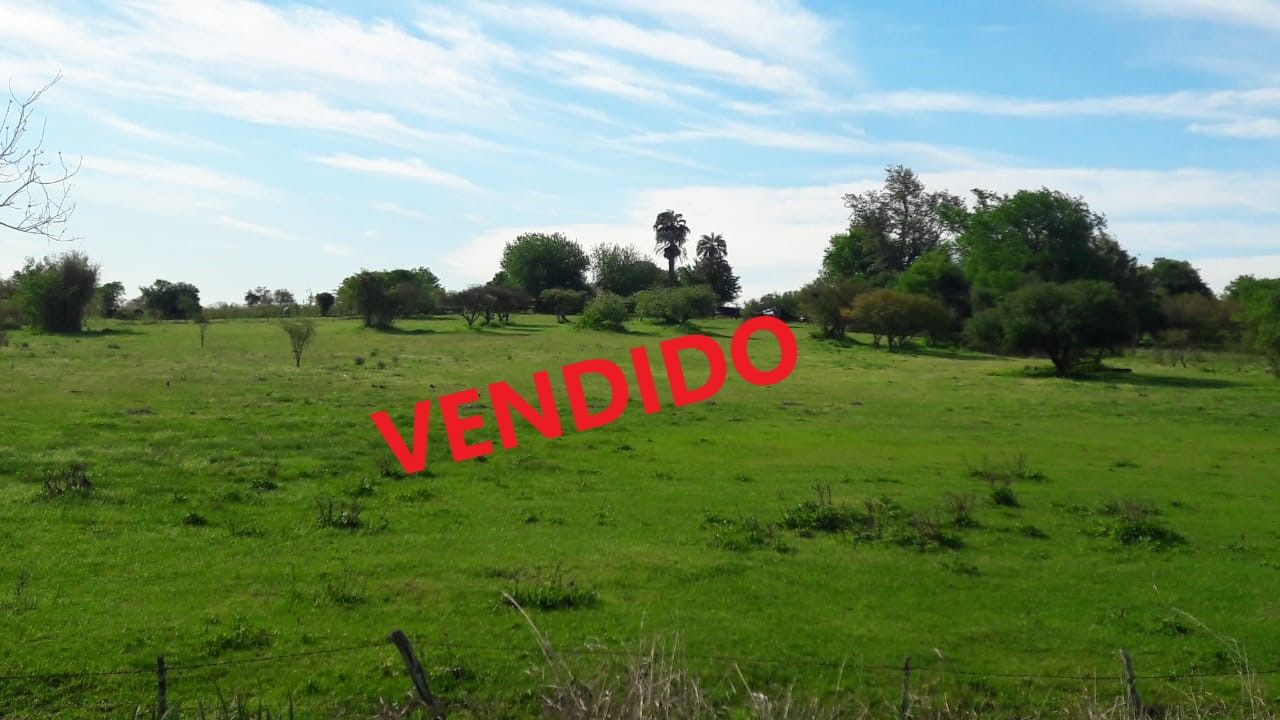 Lote en venta 