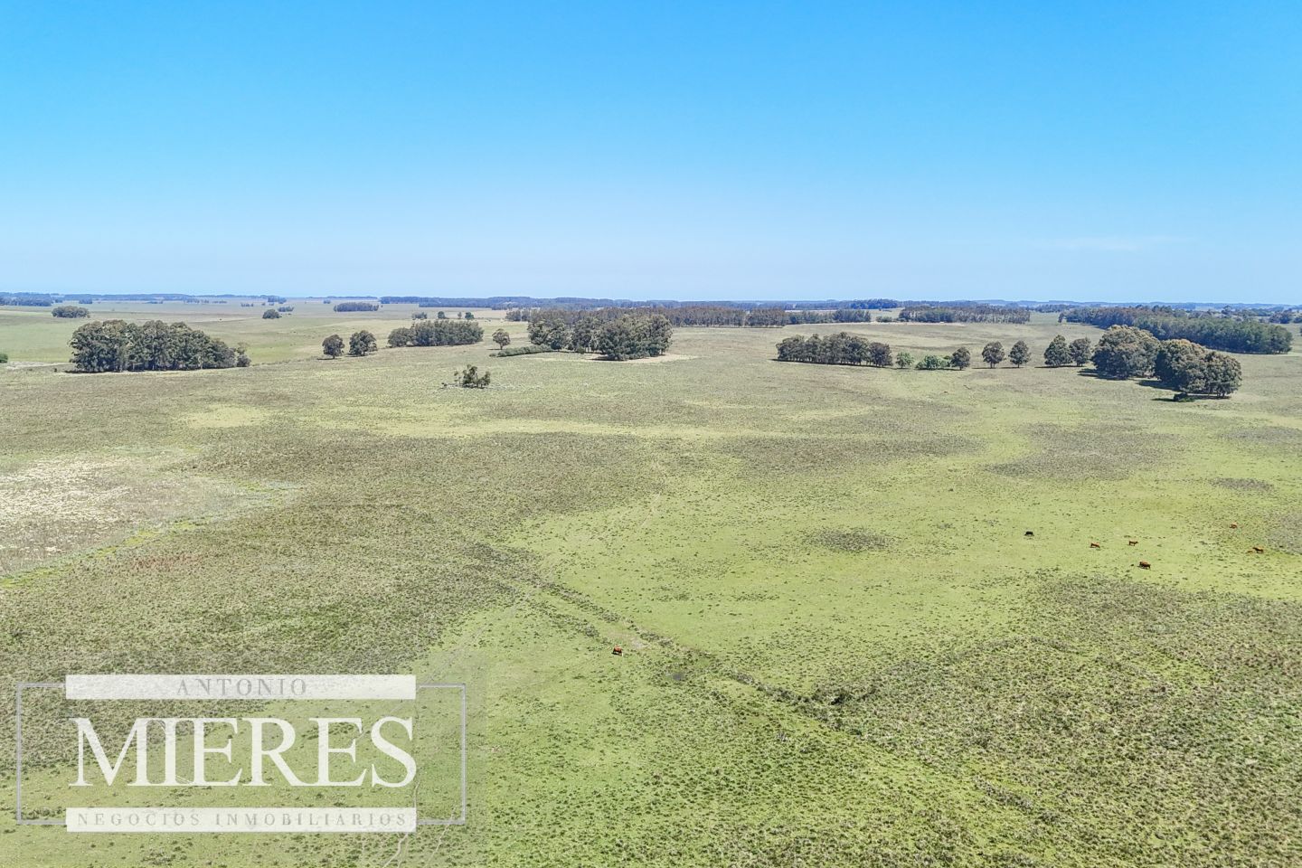 Campo EN VENTA