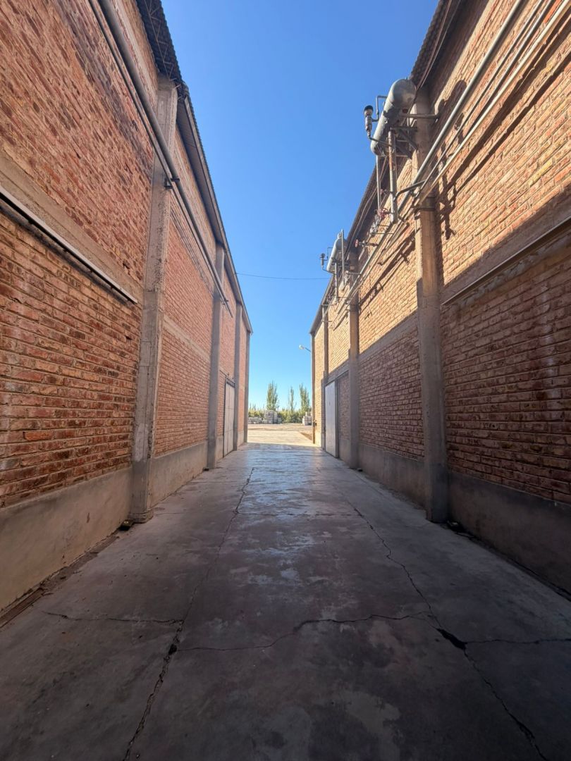 Galpon en Alquiler en Fernandez Oro, Rio Negro