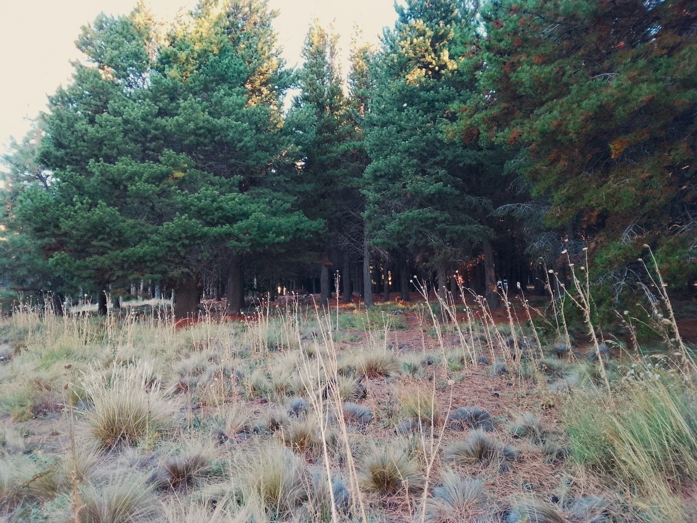 Lote en Venta en Neuquen, Neuquen