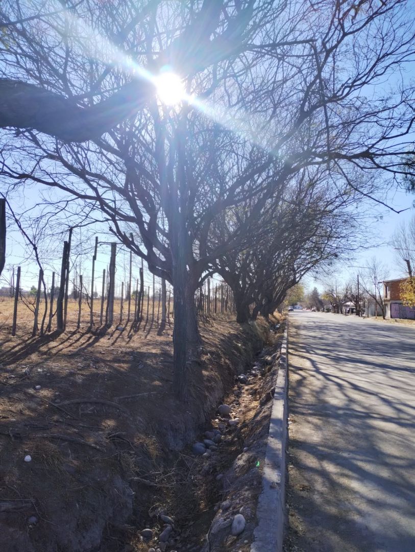 Lote en Venta en San Rafael, Mendoza