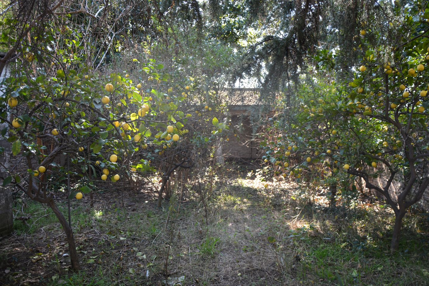Lote en Venta en Tres de Febrero, G.B.A. Zona Oeste