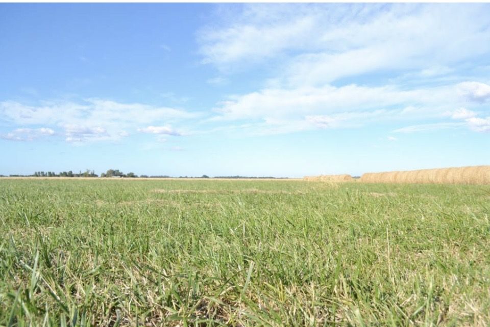 Campo EN VENTA