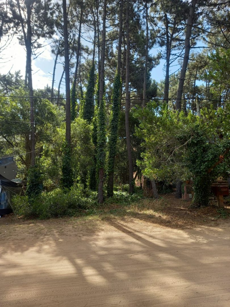 Lote EN VENTA