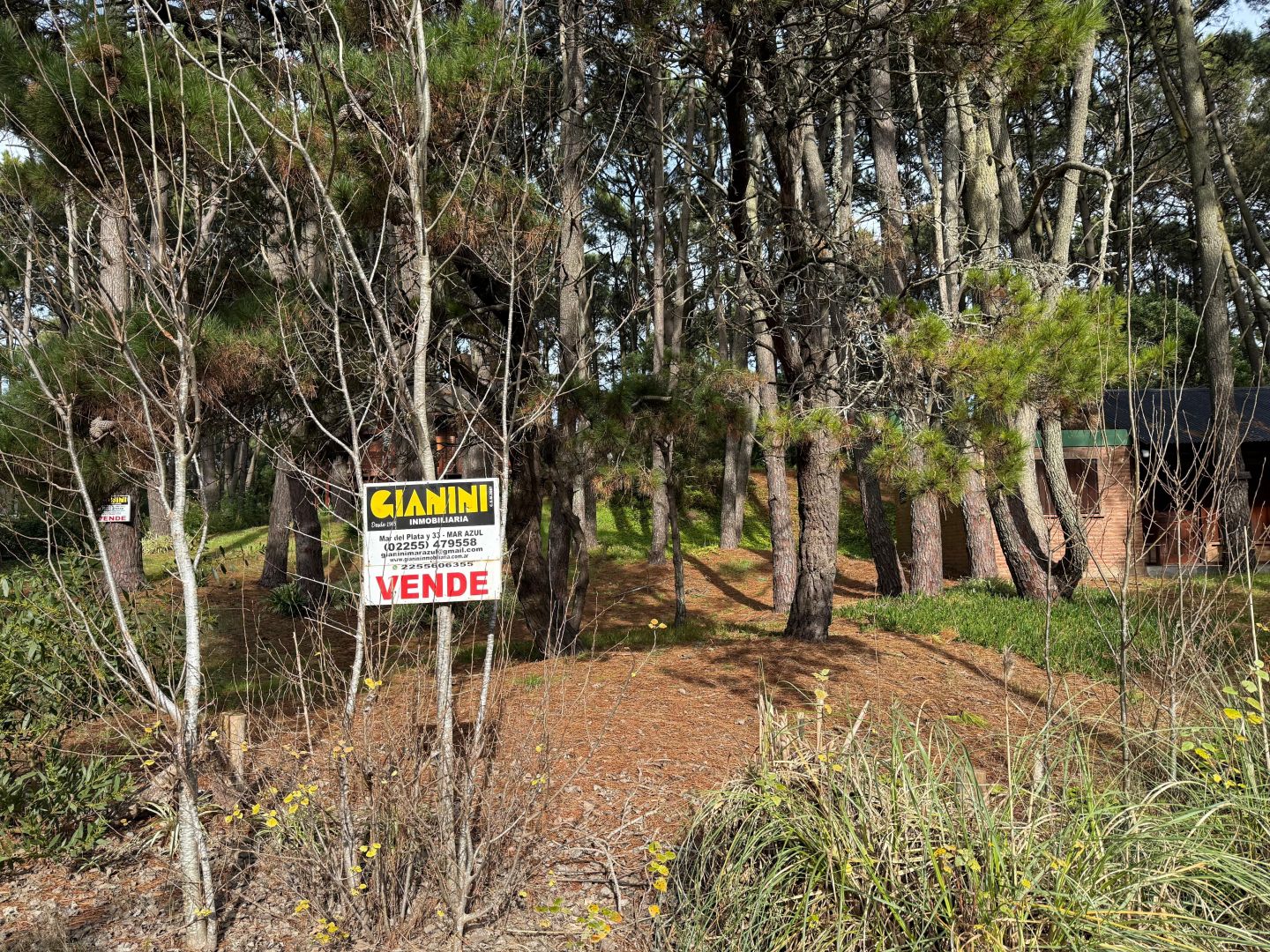 Lote en venta 