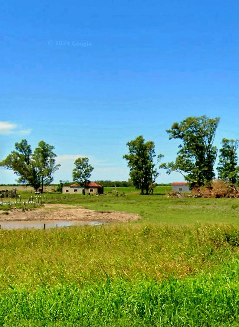 Campo EN ALQUILER