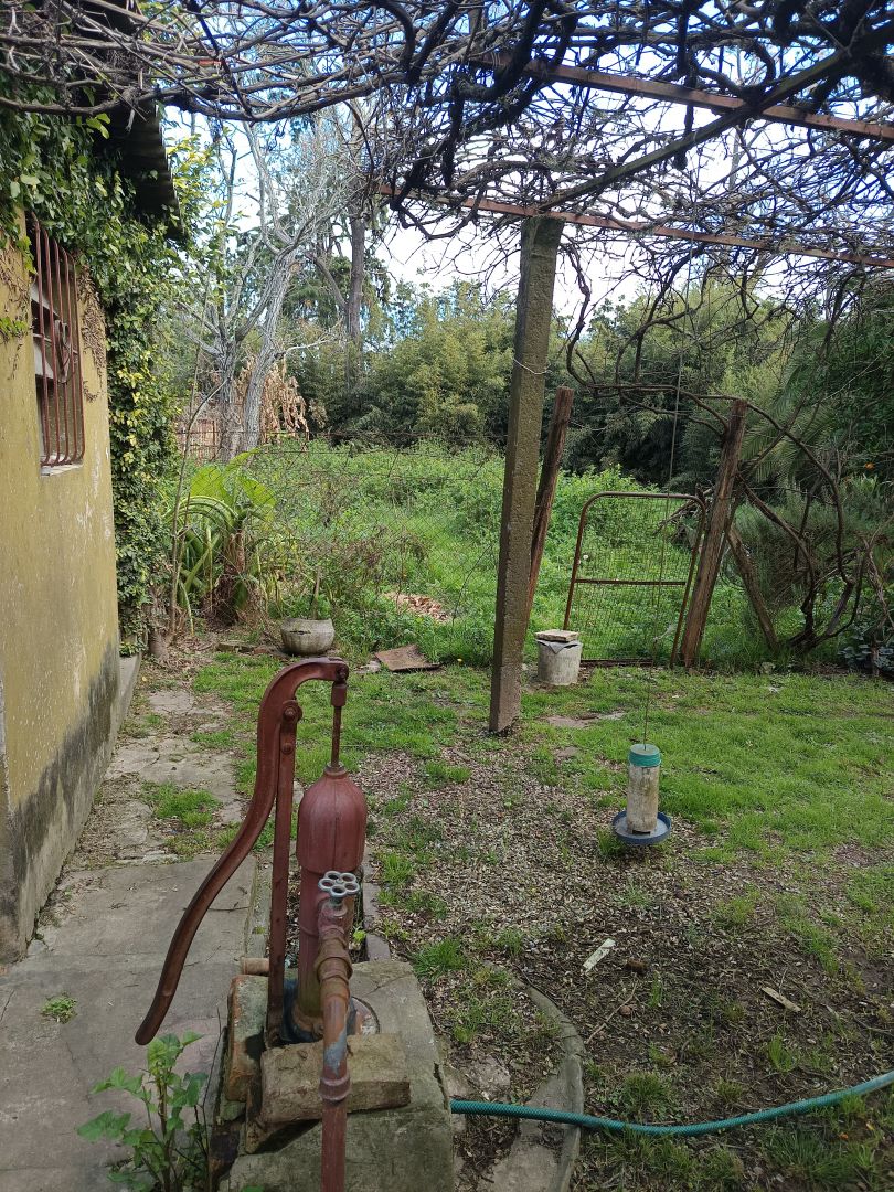 Imagen 5
