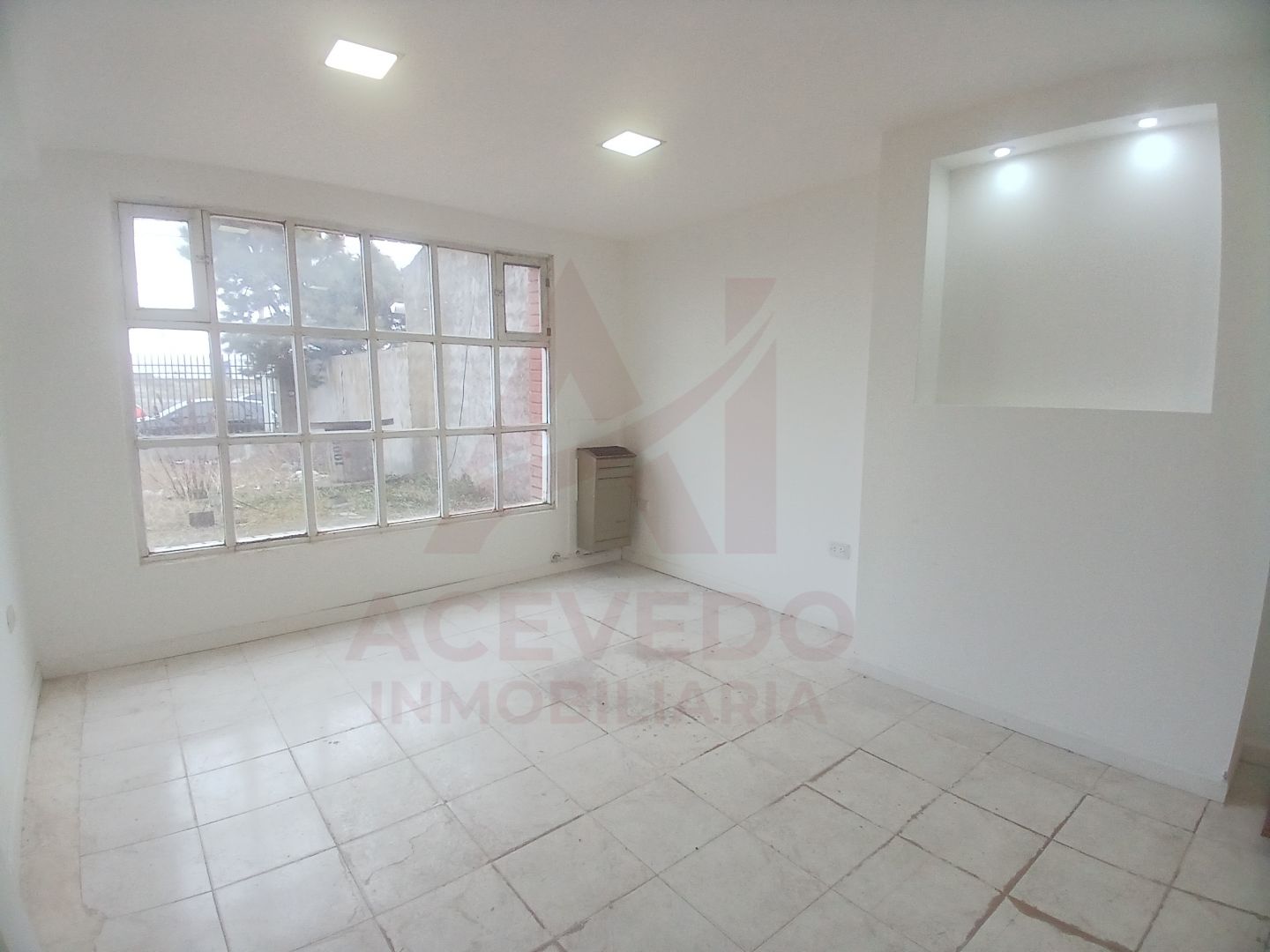Imagen 5