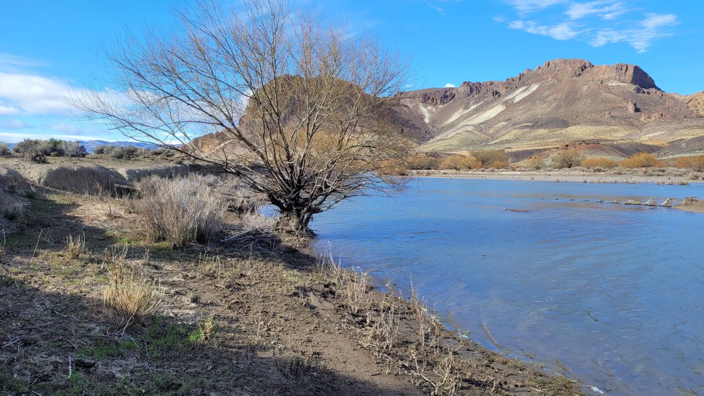 Campo EN VENTA
