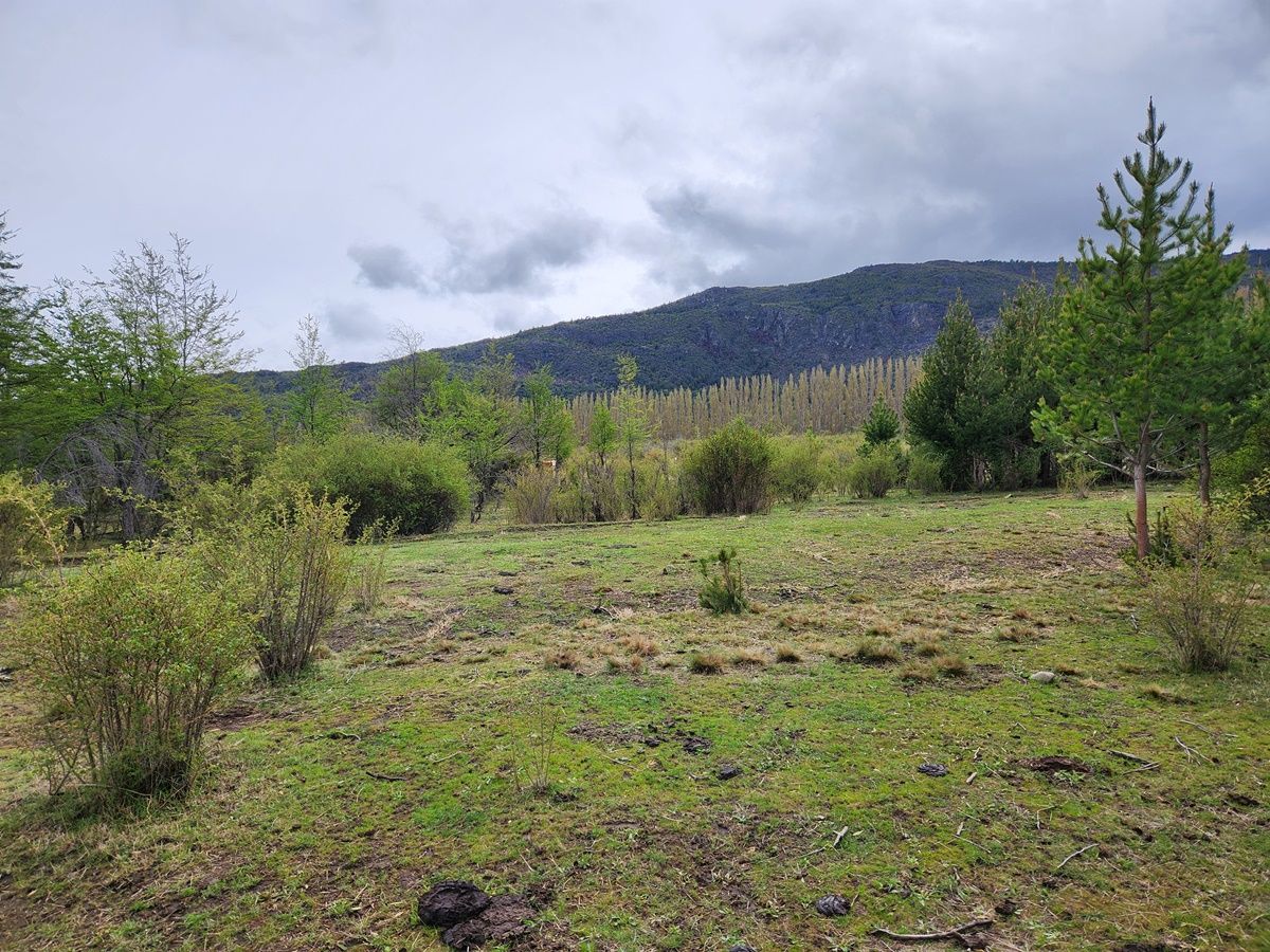 Campo EN VENTA