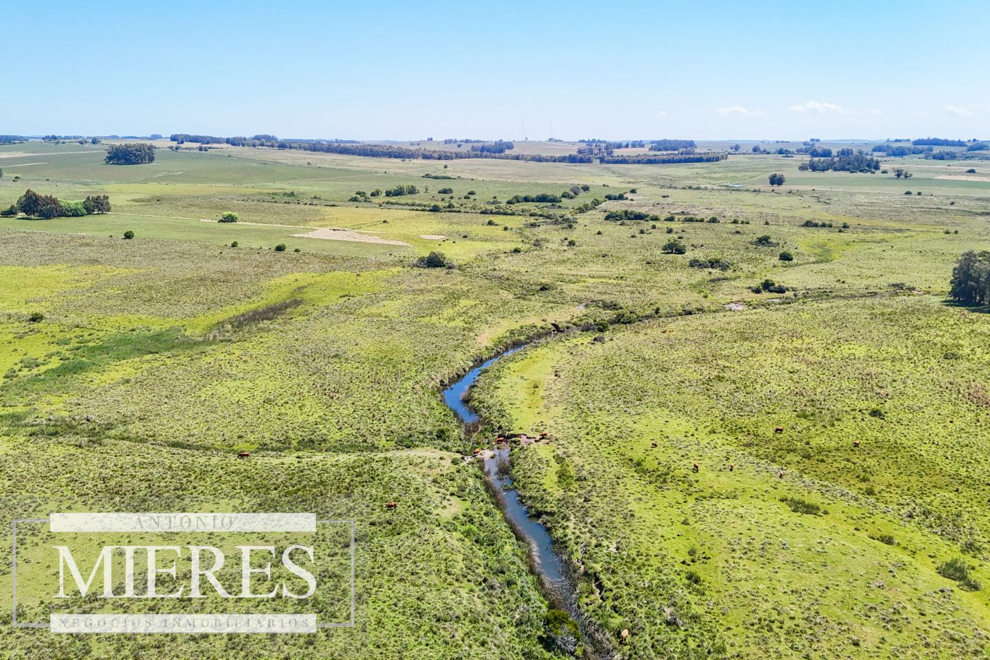 Campo EN VENTA