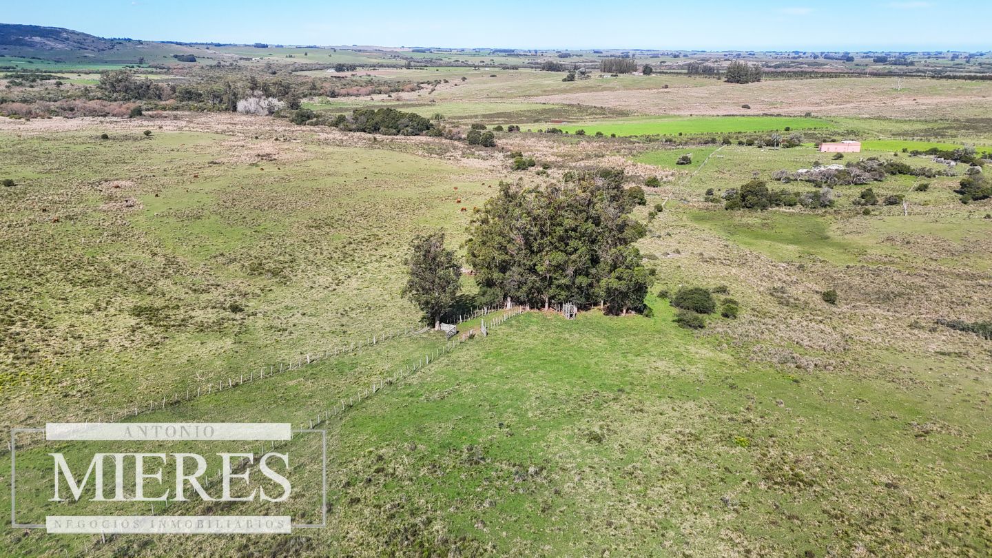 Campo EN VENTA
