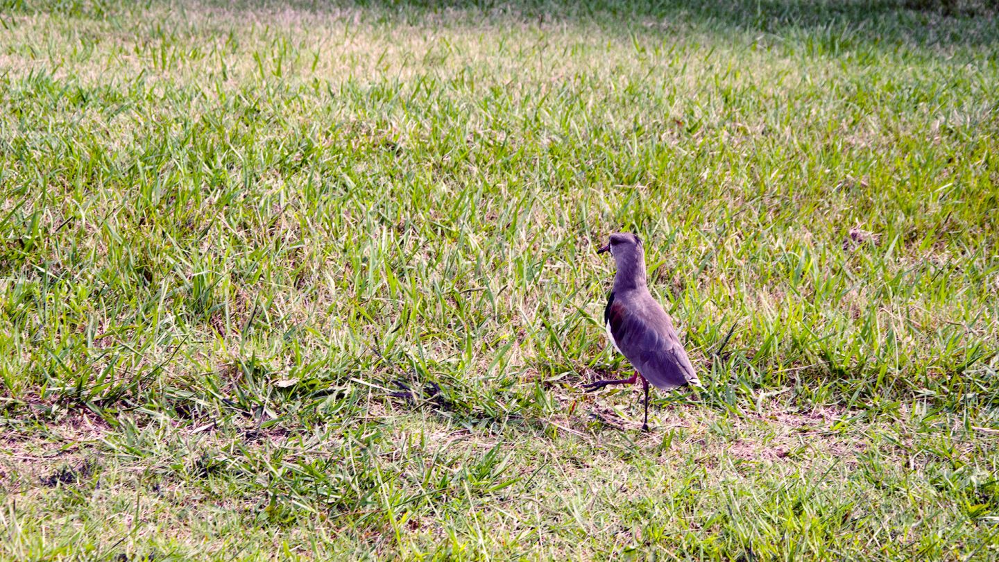 Lote en Venta en Moreno, G.B.A. Zona Oeste