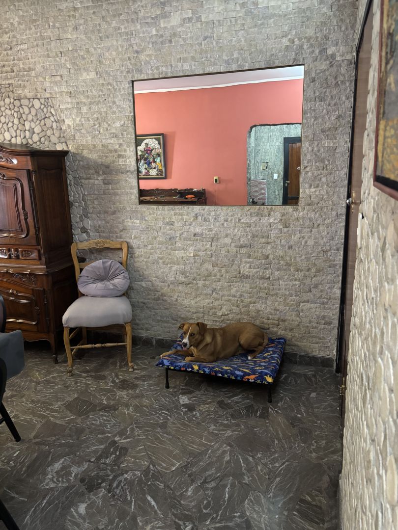 VENTA DE CASA EN Capital Federal - Parque Avellaneda - 20
