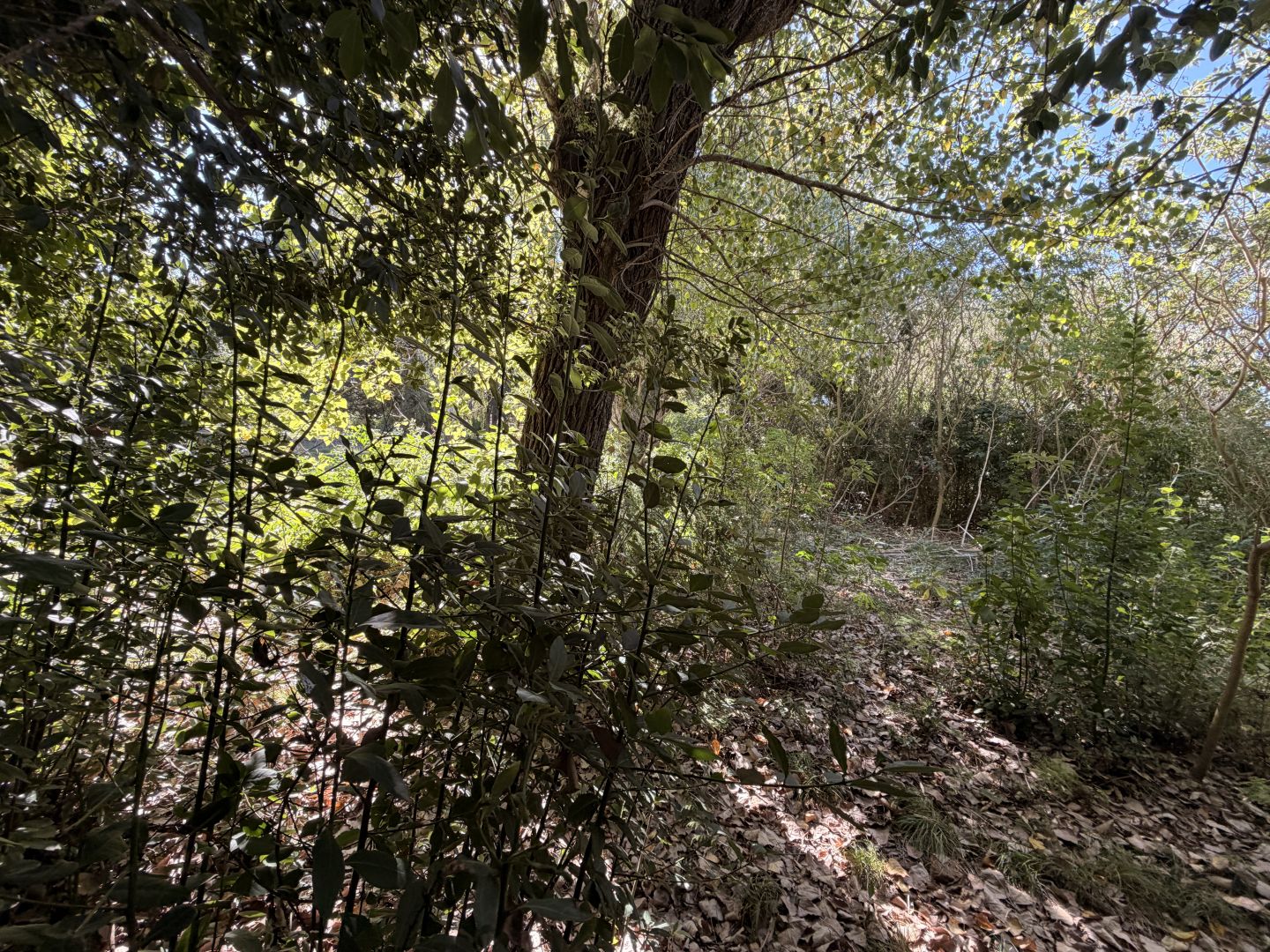 Lote EN VENTA