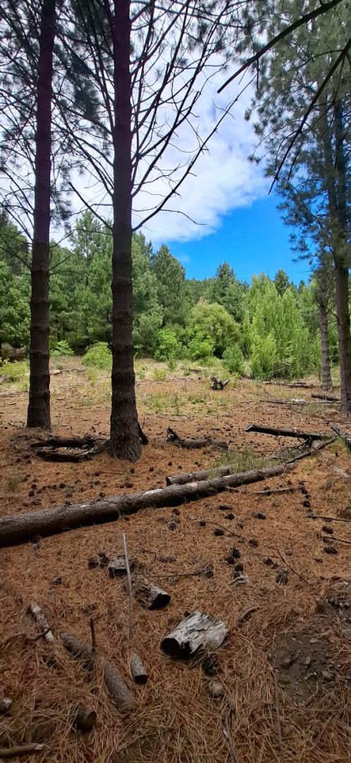 Lote en Venta en Lacar, Neuquen