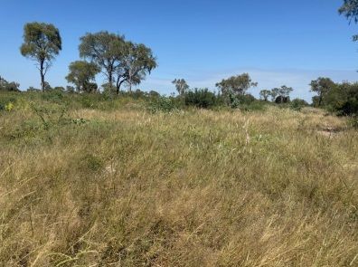 Campo EN VENTA