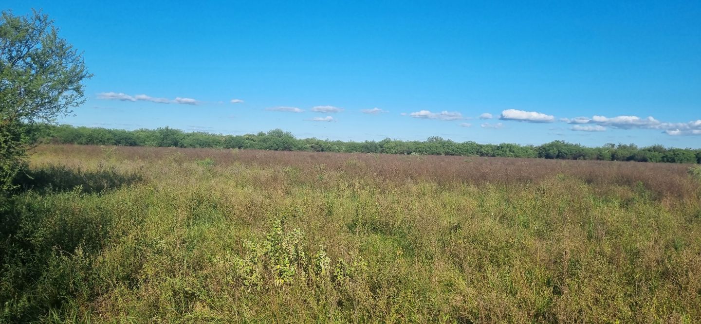 Campo EN VENTA