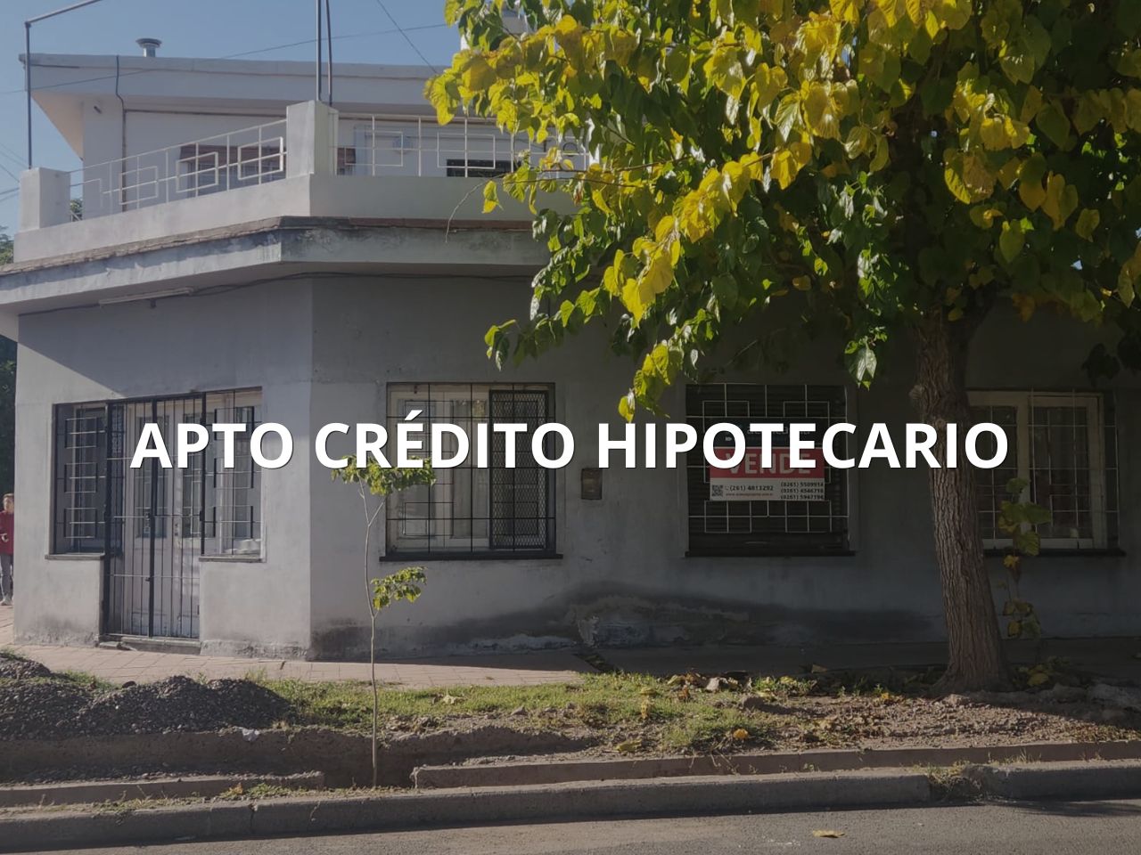Maipu Alfredo Bufano 100