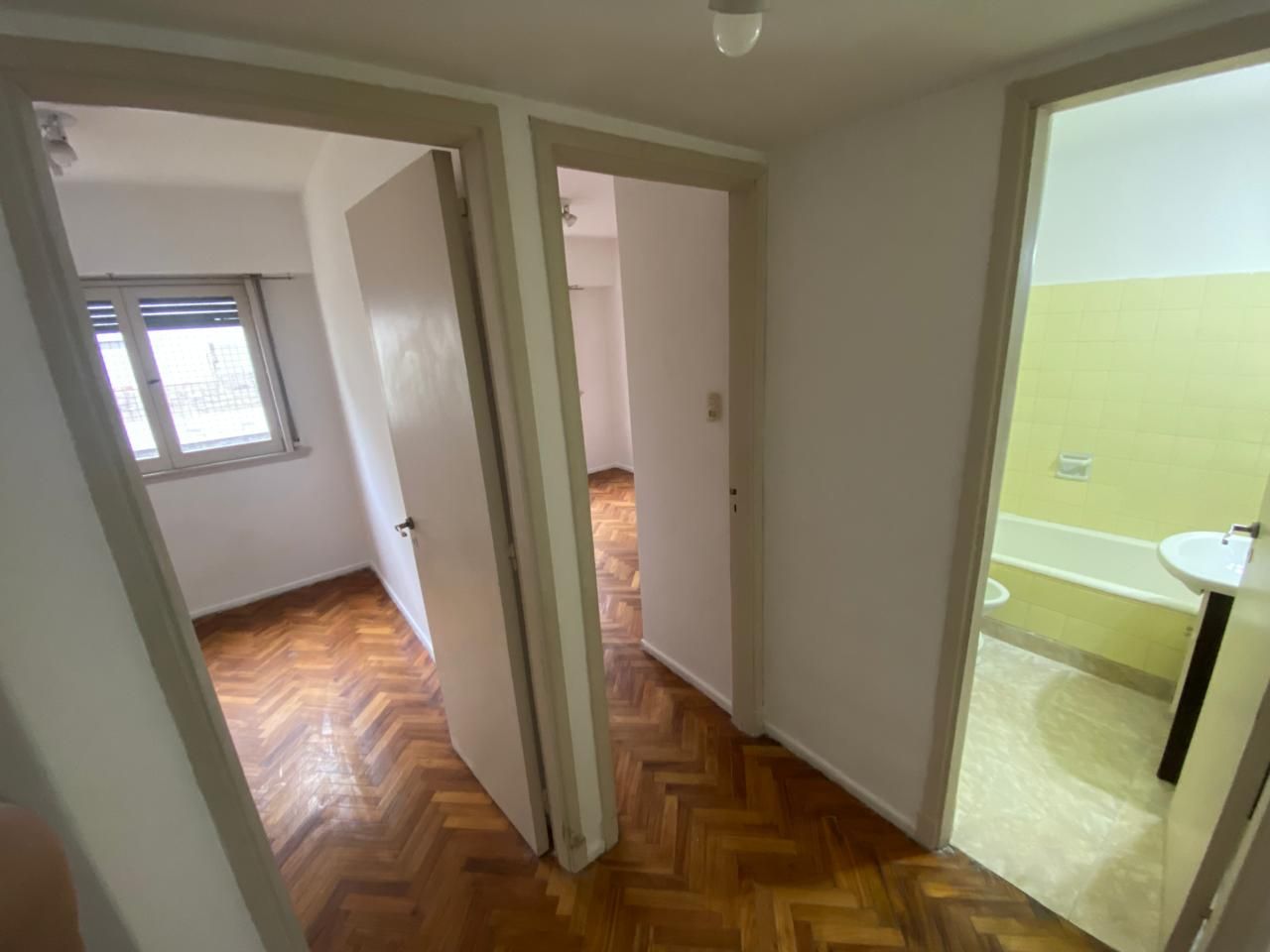 Imagen 6