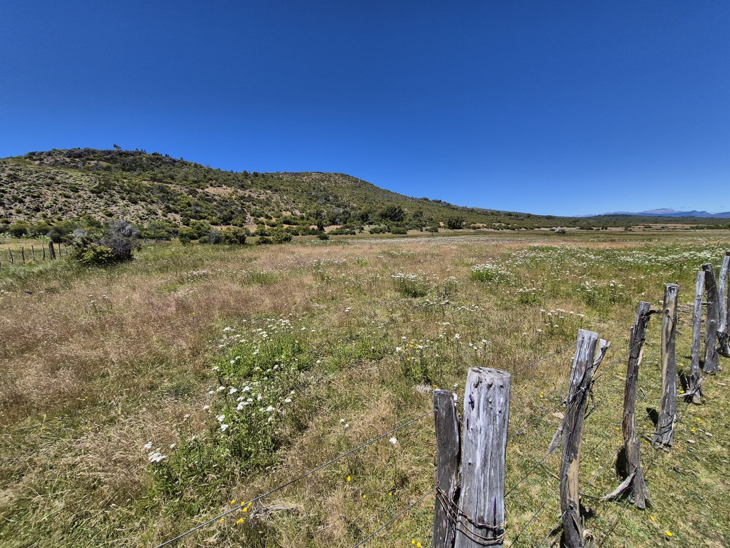 VENTA DE CAMPO EN Cholila - 28