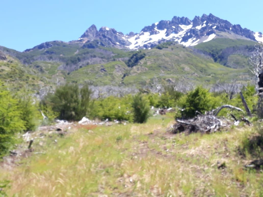 Campo EN VENTA