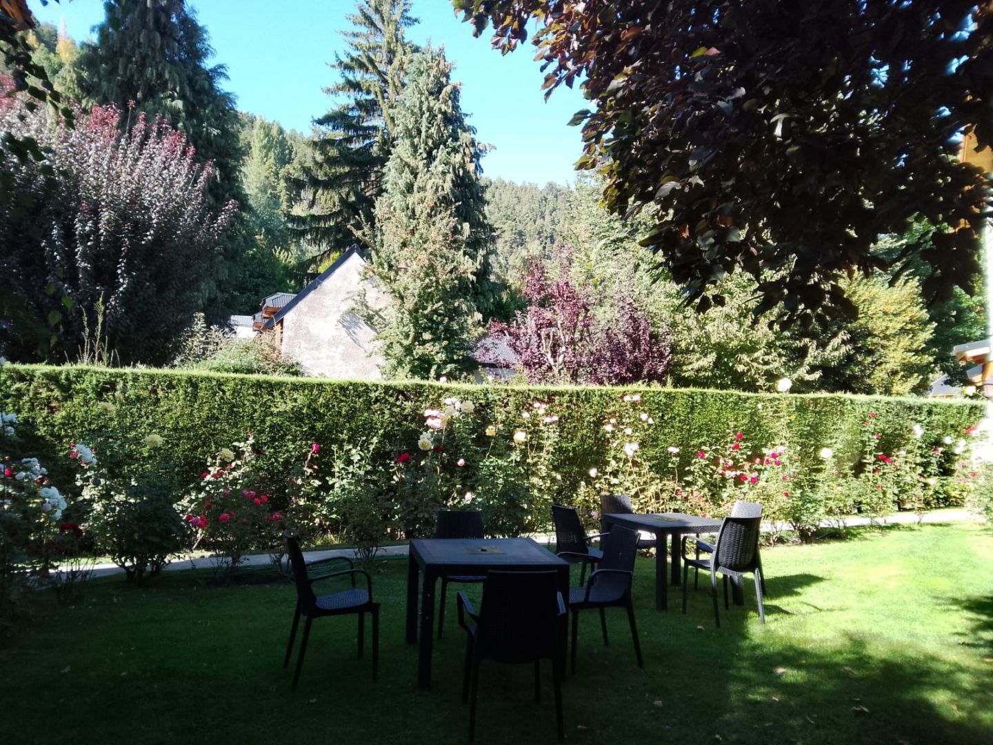 Negocio en Venta en San Martin de los Andes, Neuquen